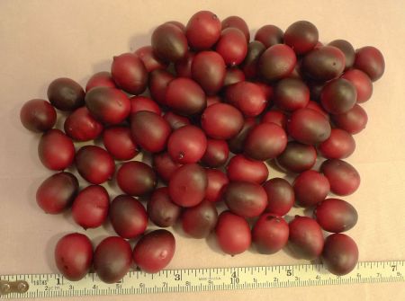Artificial Cranberry - 6 each